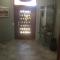 Galeb