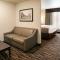 Cobblestone Hotel & Suites Appleton International Airport - 尼纳