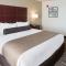 Cobblestone Hotel & Suites Appleton International Airport - 尼纳