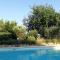 Olive Tree