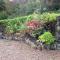 Buccleuch Guest House
