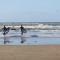 Center Parcs Zandvoort beach