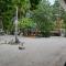 Surf Deck
