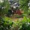 Secret Garden Chiangmai