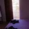 Colors Flat & Rooms