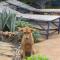 Bahati Diani House Glamping