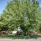 Camping de Tournus - Drole de cabane