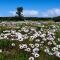 Adam's Guest House - Yzerfontein