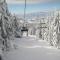KOPAONIK-GONDOLA 100m