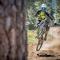 3174 Aspen Grove