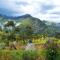 Eco Lodge Haputale-Camping Sri lanka