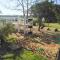 Wild Clover Cottages