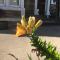 Highfield Guesthouse