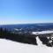 Chalet Mont Tremblant Luxury Lodge