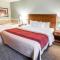 Comfort Inn Schererville - Schererville