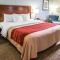 Comfort Inn Schererville - Schererville