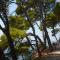 Remisens Hotel Albatros-All inclusive