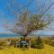 Bilene Beach House