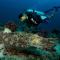 Borneo Divers Mabul Resort - Pulau Mabul 