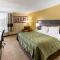 Quality Inn & Suites - Plattsburgh