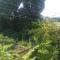Song Lao Guesthouse