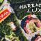 Harrachov Lux - Harrachov