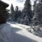 Borovets Chalets