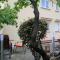 Apartment Rosa