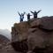 Astro Camping Elqui Experience