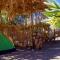 Astro Camping Elqui Experience