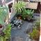 Sunshine Vintage House