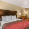 Comfort Inn Columbia Gorge - ذا داليس