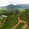 Camelot Resort - Munnar
