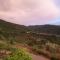 Alagonia Country Homes