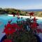 Bild des La Sima villa con piscina vista mare San Pantaleo Sardegna