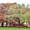 Duplex Samay - Families only-