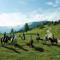 Apartmaji Štrud´l Bohinj