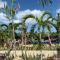 Camotes Ocean Heaven Resort - Camotes Islands