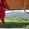 Le Chalet del Pollino