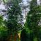 Zonnebos, private garden, fresh air, relax!