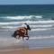 Dar Sultana Guesthouse Surf Morocco