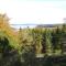 Chamcook Forest Lodge Bed & Breakfast