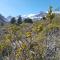 Tierras Bayas Mountain Refuge