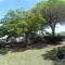 Mobil Home dans camping Lattes