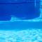 Days Inn by Wyndham Orlando Airport Florida Mall
