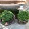 Ban Soi San Sook Homestay