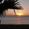 Sun Villa chambre chez l habitant
