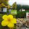 Camping Laciana Natura