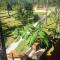Kane Villas - Mountain Pine Ridge - San Ignacio