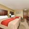 Comfort Inn and Suites Manheim